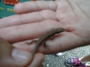 20140812_163501